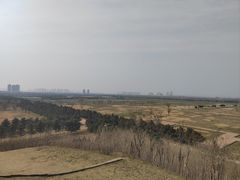 -汉长安城未央宫国家考古遗址公园