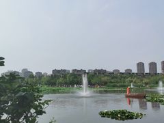 -前关湿地公园