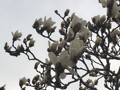 -太阳宫公园