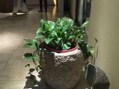 -璞禅足道(观音桥旗舰店)