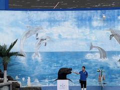 -石林冰雪海洋世界