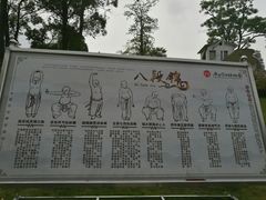 -广西壮族自治区药用植物园