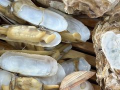 -陈小厨海鲜大咖·15年平潭味(龙王头店)