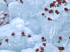 -洛阳白云山景区