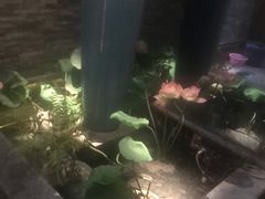 -大桶大足浴(金桥店)