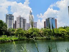 -四海公园(南山区)