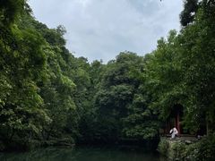 -灵隐飞来峰景区