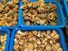 -十二海鲜(南湖店)