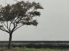 -费孝通江村纪念馆