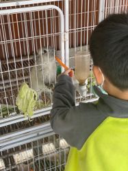 -小蜜蜂农场(凯德七宝购物广场店)