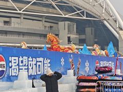 -沈阳奥体冰雪嘉年华