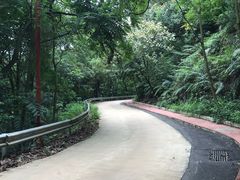 -南宁良凤江国家森林公园