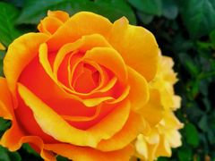 -人民公园(罗湖区)