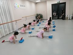 -梧桐花语舞蹈培训中心(潞城校区)