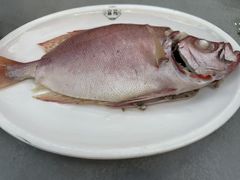 -吴记富苑(朝阳店)