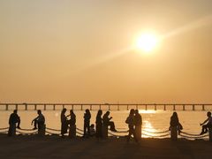 -宝安西湾红树林湿地公园