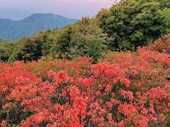 -瑞安圣井山景区