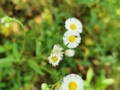 -广富林郊野公园