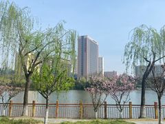 -黄兴公园