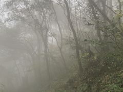 -句容茅山景区