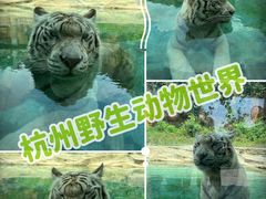-杭州野生动物世界