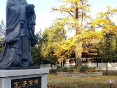 -苏州文庙(姑苏区)