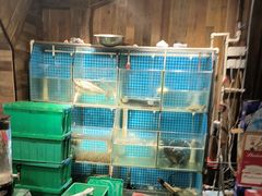 -西塘人家•黑金冠本地好店