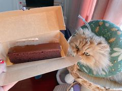 -Awfully Chocolate(环球港店)