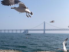 -星海广场
