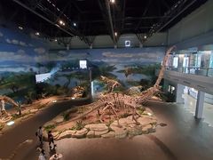 -自贡恐龙博物馆