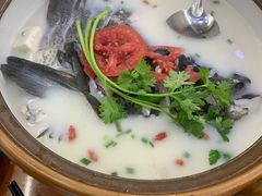 -全乐鱼馆·淳牌有机鱼直营店