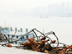 -武昌中华路码头(轮渡站)