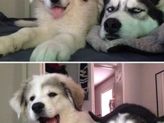 -Thai Basil罗勒叶泰式餐厅(时代天街店)