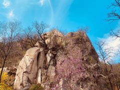 -北京鹫峰国家森林公园