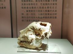 -咸宁市博物馆