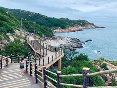 -广东惠东海龟国家级自然保护区
