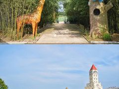 -日照海滨国家森林公园