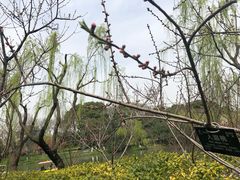 -圩墩遗址公园