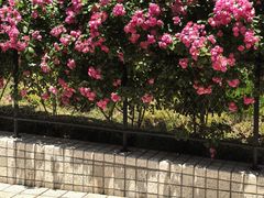 -八号桥艺术空间1908粮仓