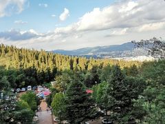 -长虫山生态公园风景林