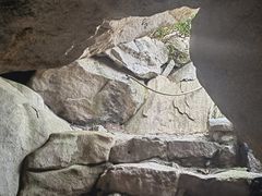 -崂山巨峰游览区