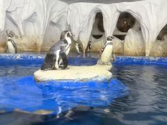 -太平洋海底世界