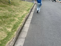 -东天目山风景区