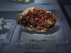 -湖南省地质博物馆