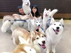 -TrueLove @ Neverland (Husky Cafe)