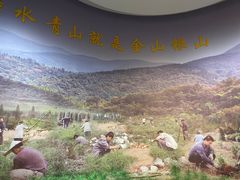 -原山国家森林公园