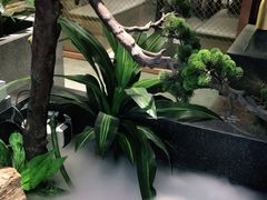 -故里湘(嘉里城店)