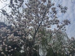 -阳澄湖半岛旅游度假区