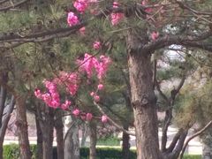 -唐山抗震纪念碑广场