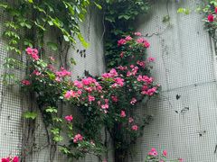 -堤角公园